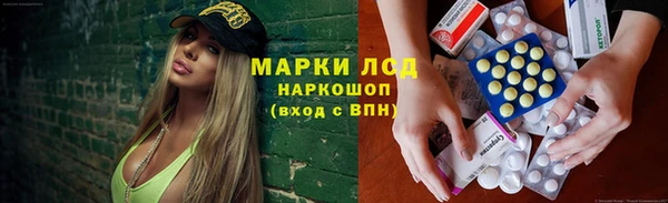 ПСИЛОЦИБИНОВЫЕ ГРИБЫ Сафоново