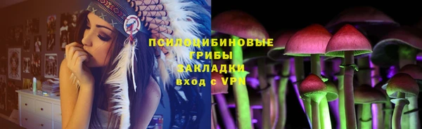 jwh Алзамай