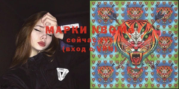 ГАЛЛЮЦИНОГЕННЫЕ ГРИБЫ Алексин