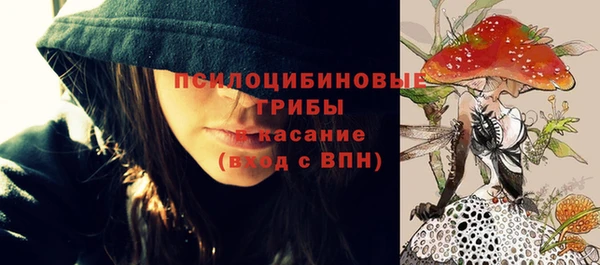 ГАЛЛЮЦИНОГЕННЫЕ ГРИБЫ Алексин