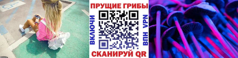 Псилоцибиновые грибы мицелий  Купить где  Благодарный 